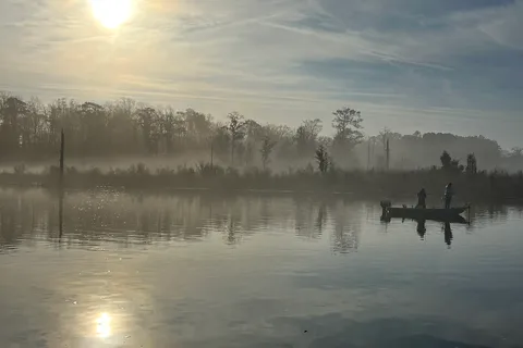 Cotton Patch Landing