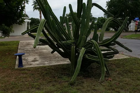 El Valle Del Sol