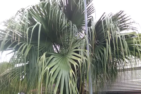 El Valle Del Sol