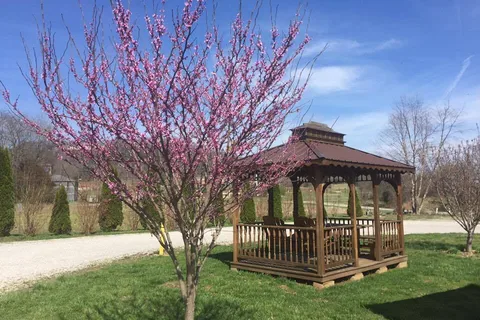 Cave Country RV Campground