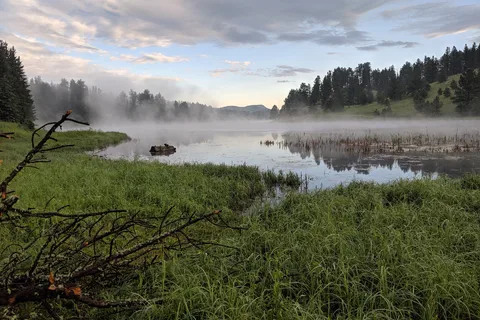 Mt Meadow Store and Campground