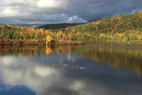 Gros Morne / Norris Point KOA Holiday