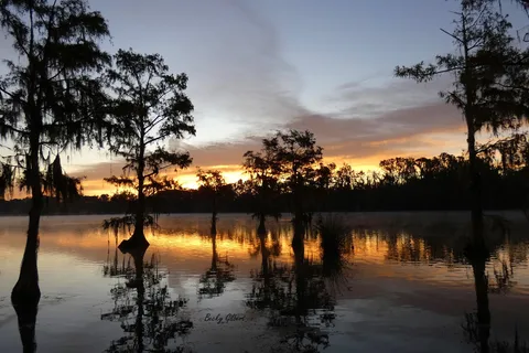 Florida Caverns RV Resort at Merritt's Mill Pond