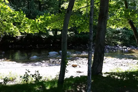 Country Bumpkins Campground and Cabins