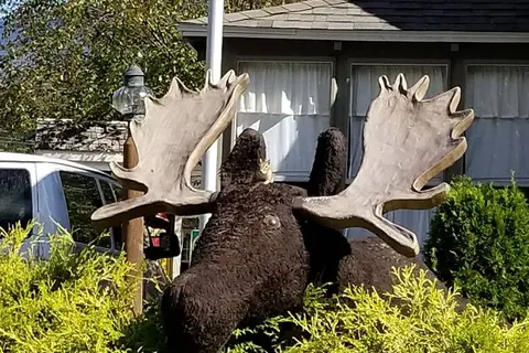 Country Bumpkins Campground and Cabins