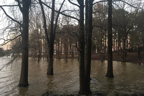 George P Cossar State Park