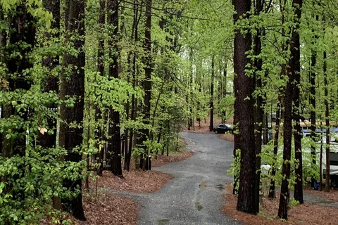 Aquia Pines Campground