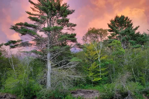 Schroon River Escape RV Resort