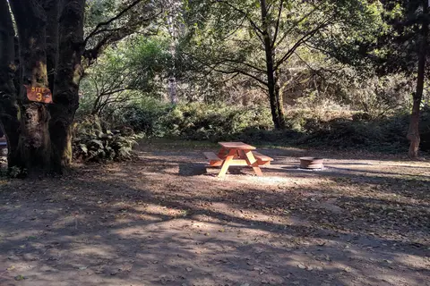 Caspar Beach RV Park and Campground