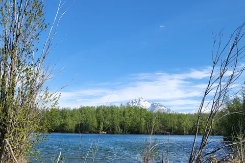 Matanuska Lakes State Recreation Site