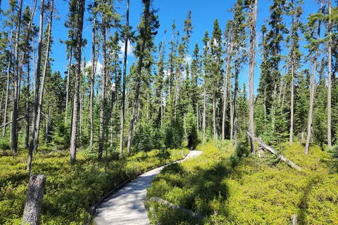 Blue Lake Provincial Park