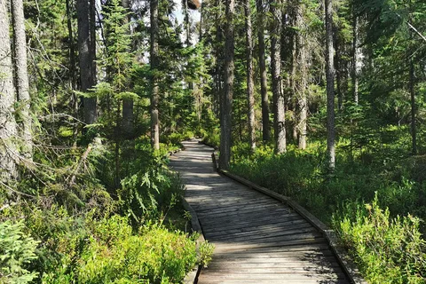 Blue Lake Provincial Park