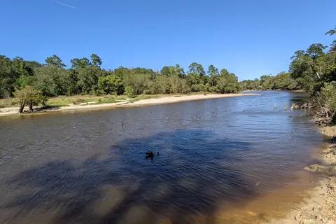 Hilltop - Village Creek State Park