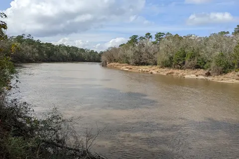Hilltop - Village Creek State Park