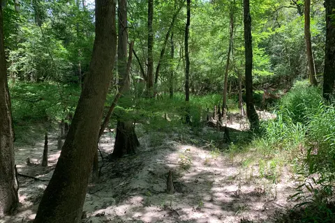 Hilltop - Village Creek State Park