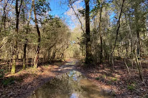Hilltop - Village Creek State Park