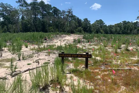 Hilltop - Village Creek State Park