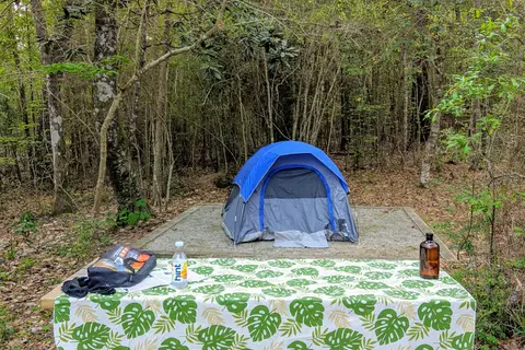 Hilltop - Village Creek State Park