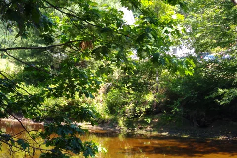Epsom Valley Campground