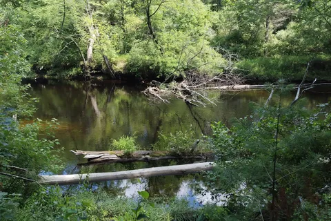 Epsom Valley Campground