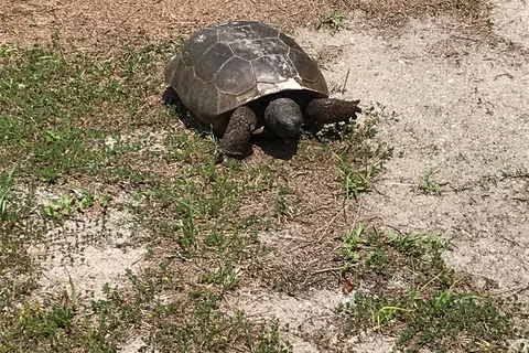 Little Talbot Island State Park