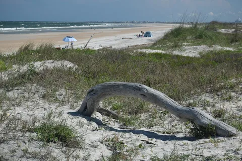 Little Talbot Island State Park