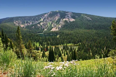 Red Desert Rose Campground