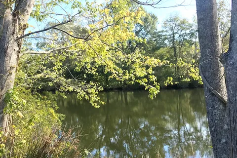 The Oaks At Point South RV Resort