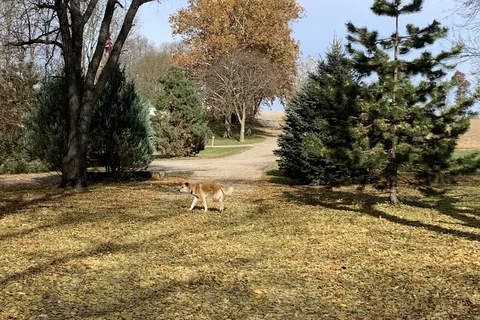 Hickory Grove Campground AND RV Park