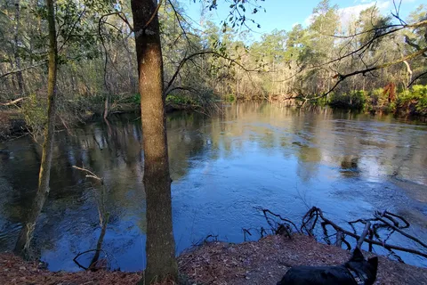 Magnolia Loop - O Leno State Park