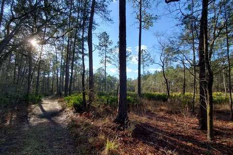 Magnolia Loop - O Leno State Park