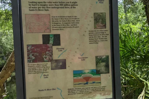 Magnolia Loop - O Leno State Park