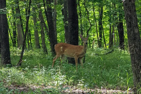 Eagle Creek State Recreational Area