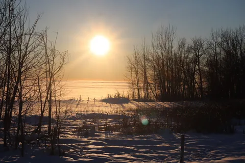 Saskatoon Island Provincial Park