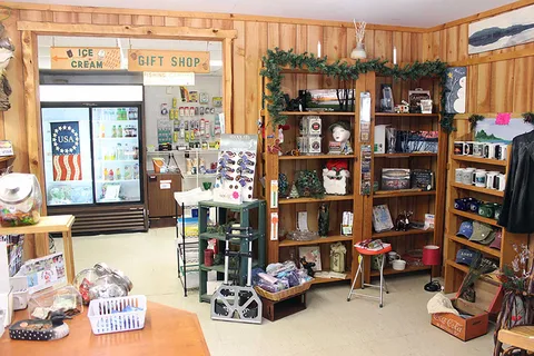 Deer River Campsites