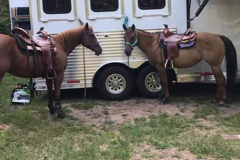 Manestay Stables