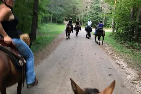 Manestay Stables