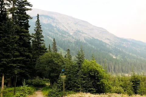 Spray Lakes West - Spray Valley Provincial Park