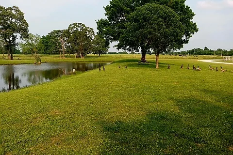Zen Monkey RV Retreat