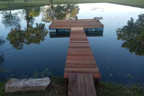 Zen Monkey RV Retreat