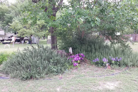 Hidden Valley RV Park, Del Rio, Texas
