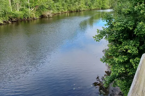Cashie River Campground and RV Park