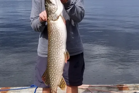 Gull Rock Lake Lodge