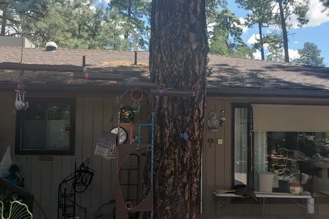 Pine Lawn Ranch MH and RV Park