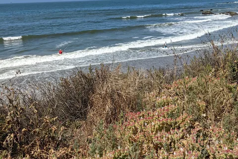 Santa Rosa - Carpinteria State Park