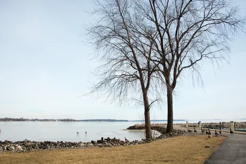 Kamp Kozy