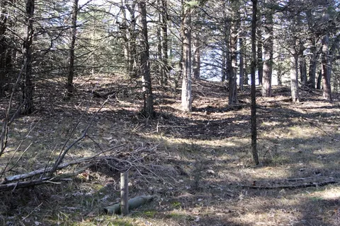 Long Pine State Recreation Area