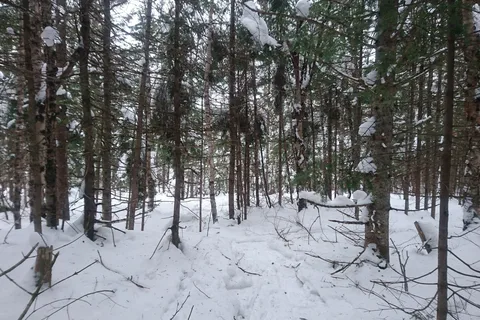 Camping Mont Ste-Anne