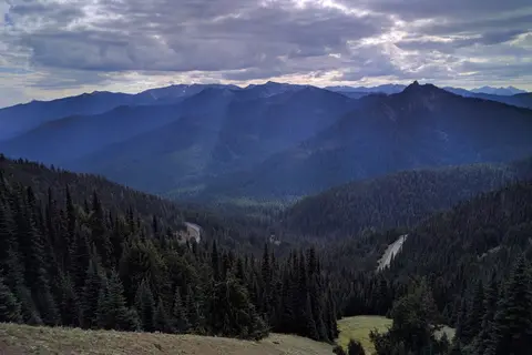 Heart of the Hills Campground - Olympic National Park
