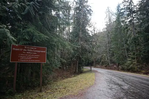 Heart of the Hills Campground - Olympic National Park